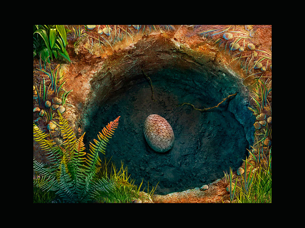 Zoom object